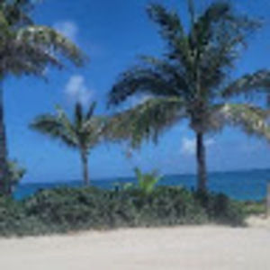 Meet your Posher, Mary